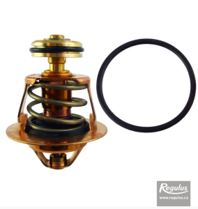 Wkładka do zaworu 50°  - 1" i 1 1/4" TVR-TSV 3B 5B IBO/REGULUS 